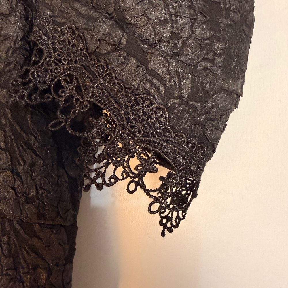 Elegant Black Lace Goth Dress - Picture 11 of 12
